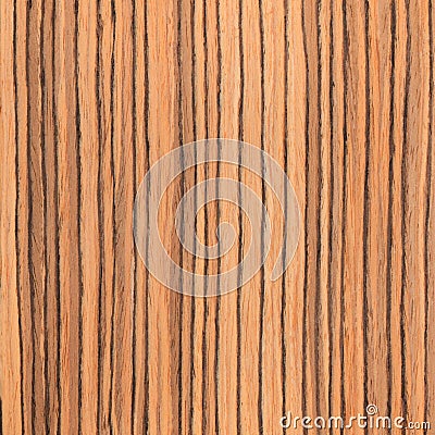 Texture zebrano, wood grain Stock Photo