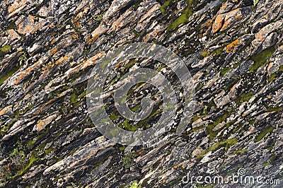 Textured basalt background thin stone fibers in the cut. natural volcanic formations Stock Photo