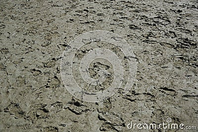 Textured of footprints on the mud after low tide Stock Photo