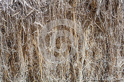 Textured gray hemp fiber for production Stock Photo