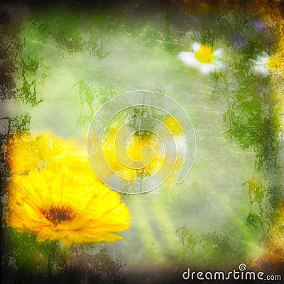 Textured grunge background daisy Stock Photo