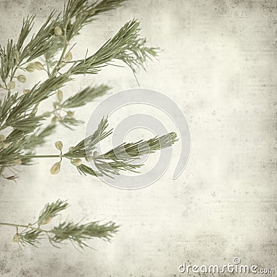 Textured old paper background Stock Photo