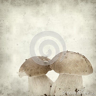 Textured old paper background Stock Photo