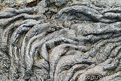 Textures of black lava (pahoehoe) in Santiago island Stock Photo