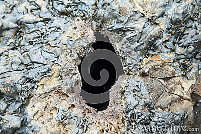 Textures of black lava (pahoehoe) in Santiago island Stock Photo