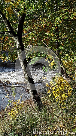 The River Calder from the bridge across it in Padiham own Centre. This river powered 20 cotton weaving Mills in 1906,all Stock Photo