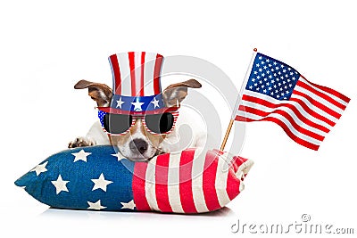 4th of july independence day dog Stock Photo