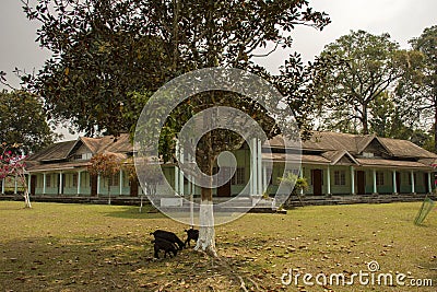 17th March, 2023, Kaziranga, Assam, India: Beautiful heritage bungalow Banasree Tourist Lodge of Assam Tourism at Kaziranga Editorial Stock Photo