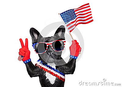 4th oh july dog Stock Photo