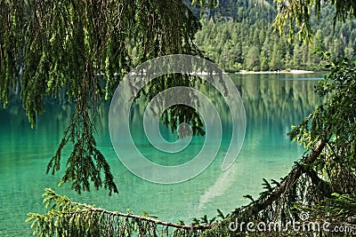 Tha lake of Tovel in Val di Non, Northern Italy Stock Photo