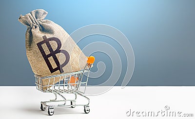 Thai baht money bag in a shopping cart. Public budgeting. Minimum living wage. Economic bubbles. Loans, microloans. Consumer Stock Photo