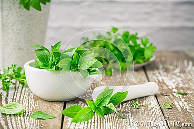 Thai basil, parsley, thyme and other herbs on wooden kitchen table Stock Photo