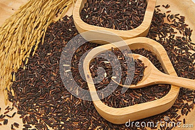 Thai black jasmine rice (Rice berry) Stock Photo