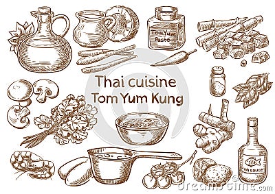 Thai cuisine. Tom yum kung ingredients Vector Illustration