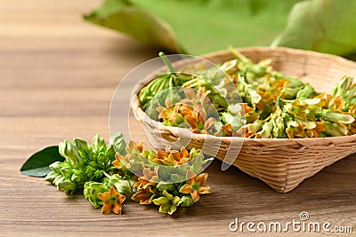 Thai edible flowers (cowslip creeper, Tonkin jasmine or Pakalana vine) Stock Photo