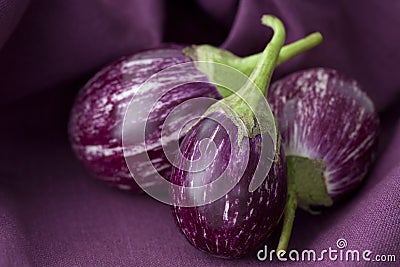 Thai Eggplant Stock Photo