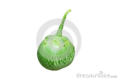 Thai eggplant Stock Photo