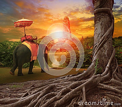 thai elephant and kingdom umbrella in ancient palace pagoda ,banyan tree root forground and sun set background Stock Photo