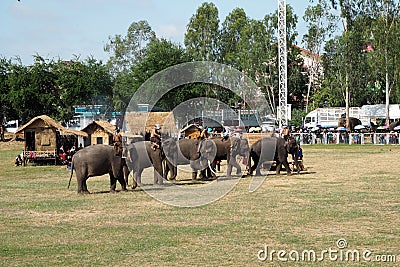 Thai elephant Editorial Stock Photo