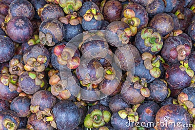 Thai exotic fruits (Mangosteen) in market Stock Photo
