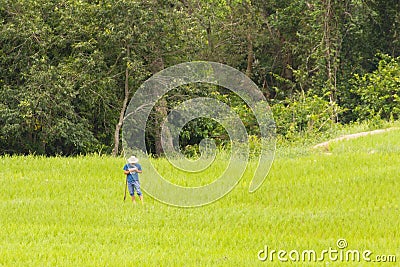 Thai farmer with hoes in rice field Stock Photo