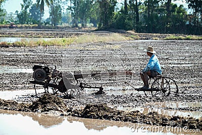 Thai Farmer using tiller tractor in rice field Editorial Stock Photo