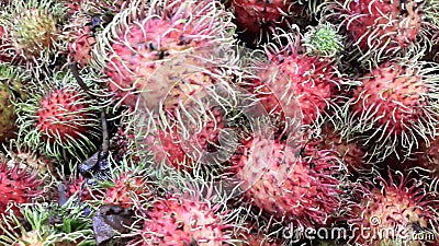 Thai fruit is very sweet are fresh inThailand Stock Photo