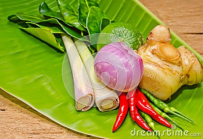 Thai herb. Stock Photo