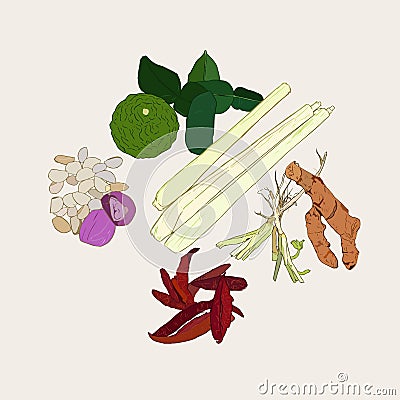 Thai herb , ingredient spicy thai food collection, sketch vector Vector Illustration