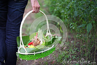 Thai herbs in basket Stock Photo