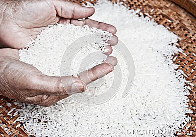 Thai jasmine rice Stock Photo