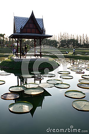 Thai pavilion in lotus pond Stock Photo