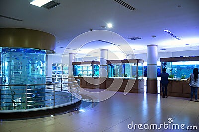 Thai people and foreign travelers travel visit learn Aquatic animals in fish glass acrylic tanks of Zoo Aquarium Bueng Chawak Editorial Stock Photo