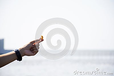 Thai people and foreign travelers travel visit and look and feeding food to gull regular seasonal migration of seagulls birds at Stock Photo