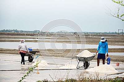 Thai people keeping salt from Salt farming Editorial Stock Photo