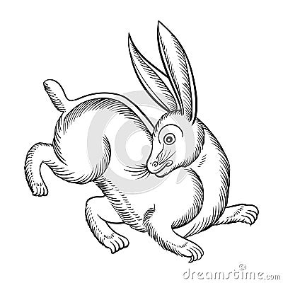 Thai style line drawing rabbit Vector Illustration