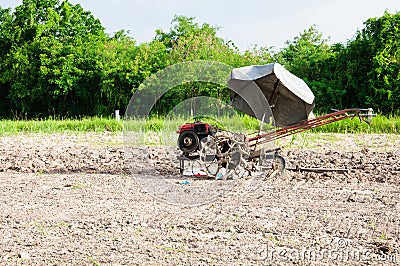 Thai tiller Stock Photo