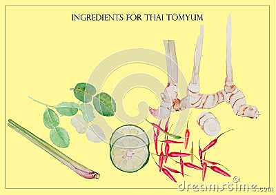 Thai tomyum set ingredient watercolor illustration vector background Vector Illustration