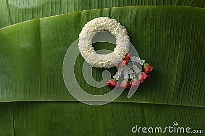 Thai traditional jasmine garland. Stock Photo