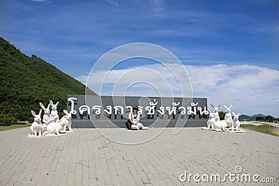 Thai woman travel and posing for take photo on grass field Chang Hua Man Royal Initiative and Agricultural Project Editorial Stock Photo