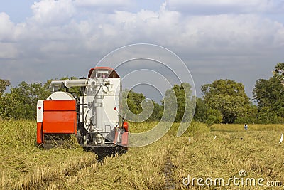 Thailand Combine harvesters working rice field Editorial Stock Photo