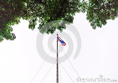 Thailand Flag waving in the white sky with tree canopy. Stock Photo