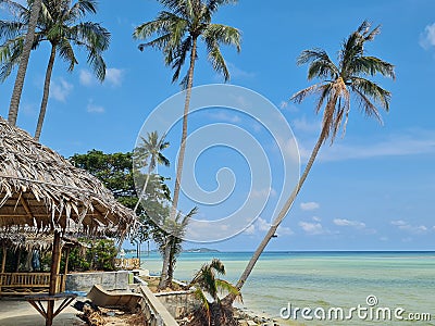 Thailand Samui beach sea sun blue coconut Green view Stock Photo