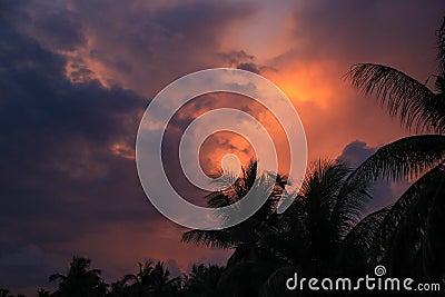 Thailand, Samui, view, nature, landscape, sunset, sky, palm tree Stock Photo