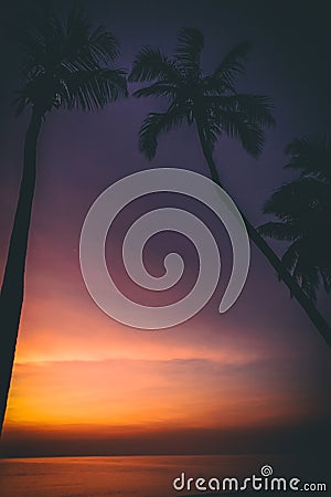 Thailand sunrise Palm tree silhouette Stock Photo