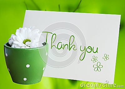 Thank you daisy Stock Photo