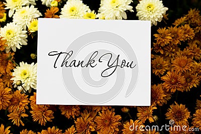 Thank You Note Stock Photo