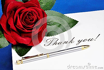 Thank you word on a piece of paper and gift a red rose. Thank you â€” the Polite word for it, expresses gratitude, satisfaction, a Stock Photo