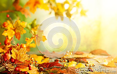 Thanksgiving or autumn scene with leaves and berries on wooden table. Stock Photo