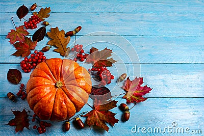 Thanksgiving background with ripe orange pumpkin on blue wooden Stock Photo